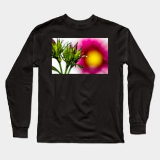 Spiky Green Plant on a Colorful Background Poster Long Sleeve T-Shirt